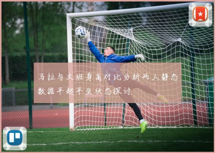 马拉与文班身高对比分析两人静态数据平起平坐状态探讨