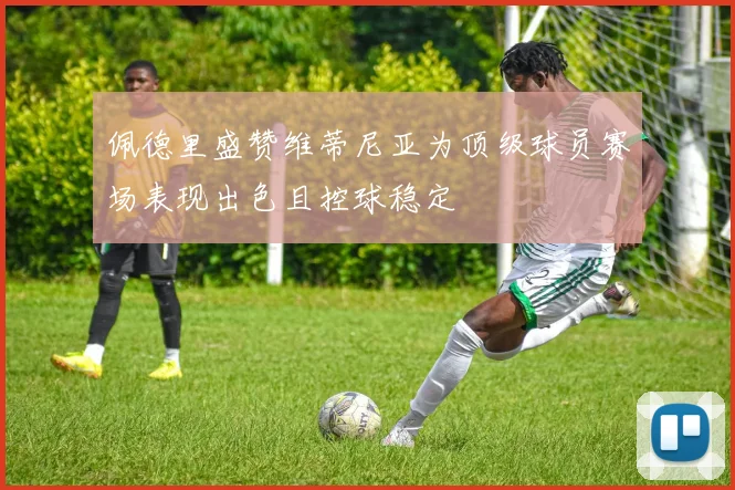 佩德里盛赞维蒂尼亚为顶级球员赛场表现出色且控球稳定